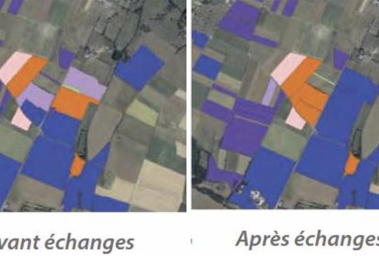 L’échange de jouissance permet d’exploiter dans de meilleures conditions culturales.