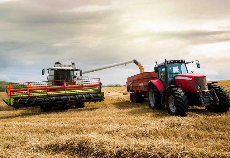 Selon les prévisions, le rendement national en blé tendre atteindrait 64 q/ha  en 2024, soit - 13 % par rapport à 2023.