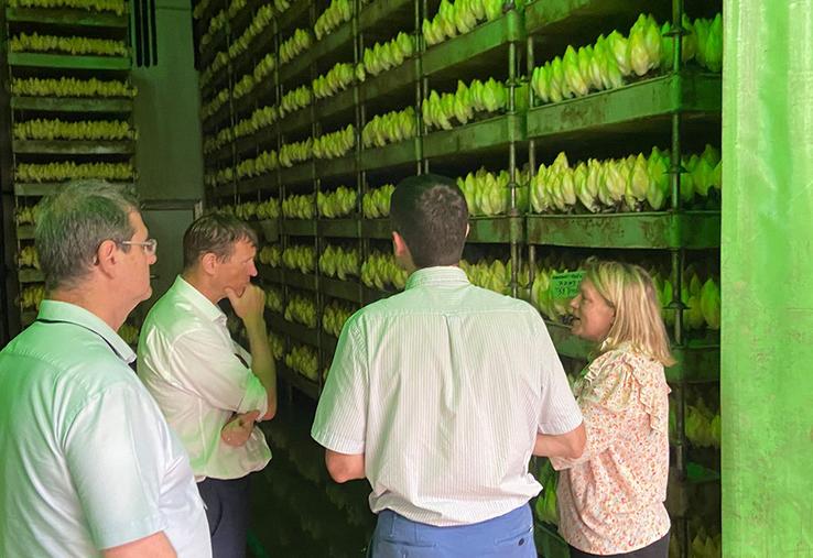 À Aizecourt-le-Haut, Xavier Rousset a été accueilli par Claire Messean  sur son site de production d’endives.