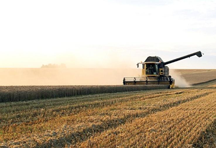 La dérogation à la durée du temps du travail doit permettre un achèvement rapide des récoltes de céréales, pailles, lin et légumes. 