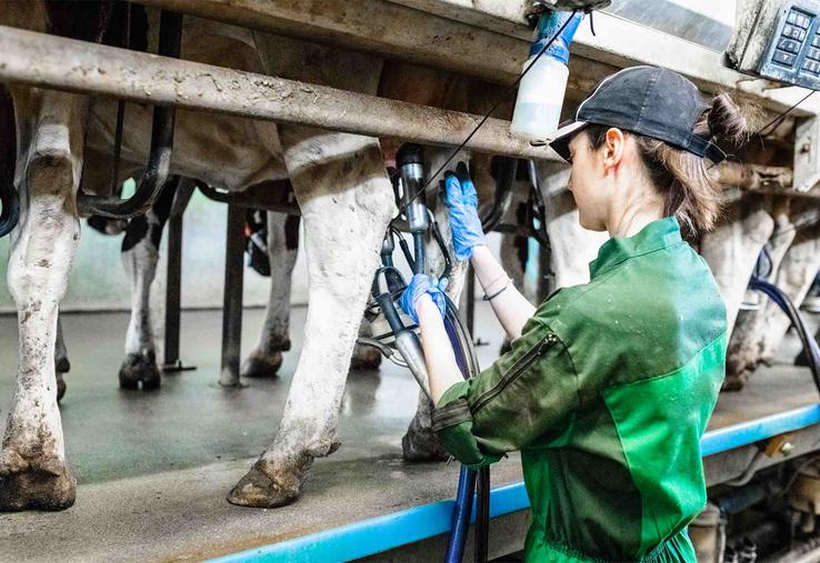 Pour James Hogge, chef de projet «Femmes en élevage» à l’Institut de l’élevage, «les agricultrices, notamment laitières,  sont motrices dans le travail au quotidien et participent au renouvellement du métier d’éleveur». 