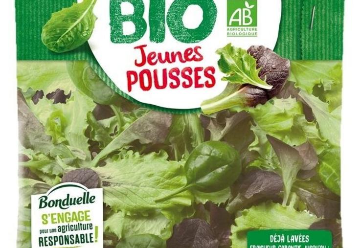 Bonduelle salades en sachet