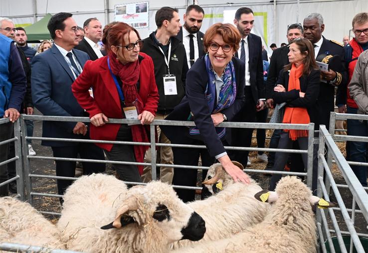 En visitant le Hall réservé aux ovins, Annie Genevard a évoqué la crise sanitaire provoquée par la FCO.
