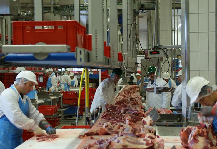 Si la décapitalisation bovine se poursuit au rythme actuel, une trentaine d’abattoirs pourraient fermer. 