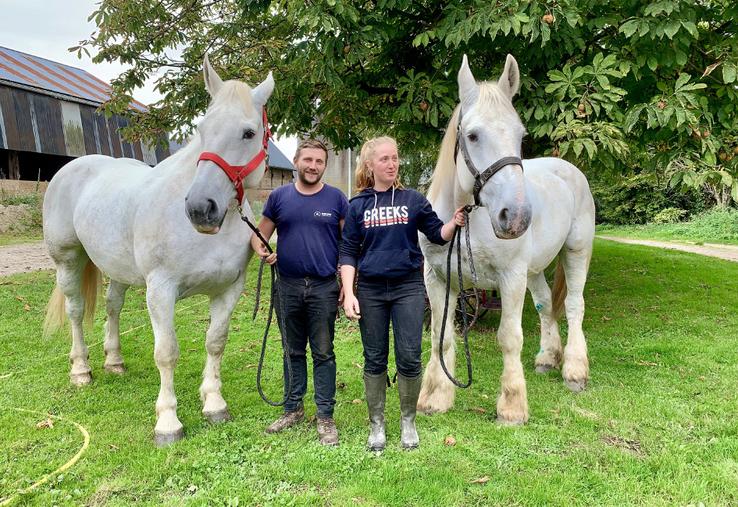 Morgan et Claire espèrent qualifier les deux juments Boulonnaises en attelage en paire, pour le prochain Salon de l’agriculture. 