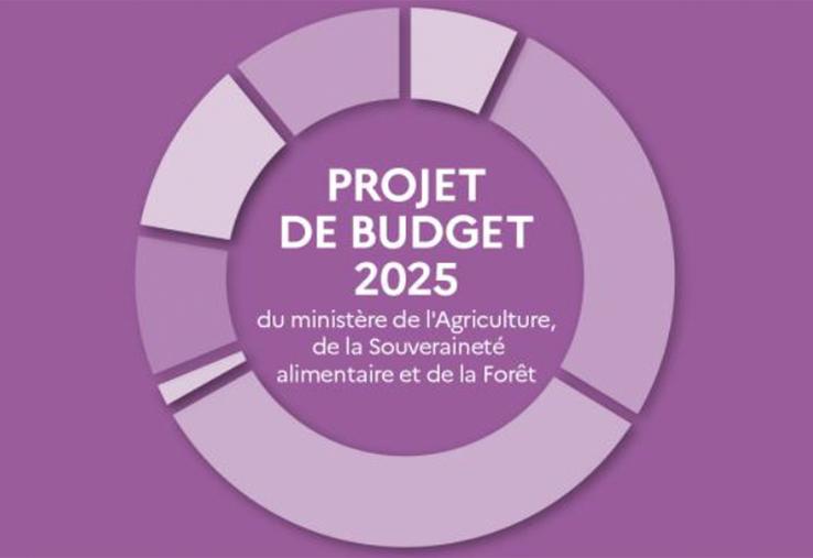 Le projet de loi de finances pour 2025 reprend en grande partie les mesures décidées au cours du premier semestre 2024, sous le gouvernement de Gabriel Atal  et faisant suite aux manifestations des agriculteurs. 