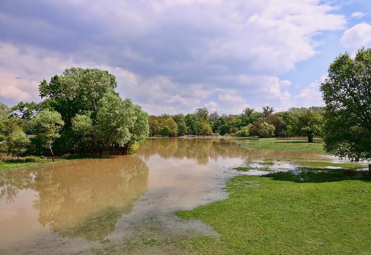 Les rapporteurs de la mission conjointe de contrôle relative aux inondations recommandent, entre autres, de clarifier  le «maquis réglementaire» qui encadre l’entretien des cours d’eau. 