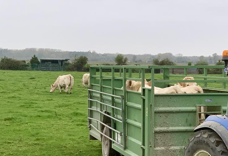 L’utilisation agricole durable et performante des zones humides permet de lutter contre l’abandon des terres,  leur enfrichement et préserve leurs fonctionnalités. 