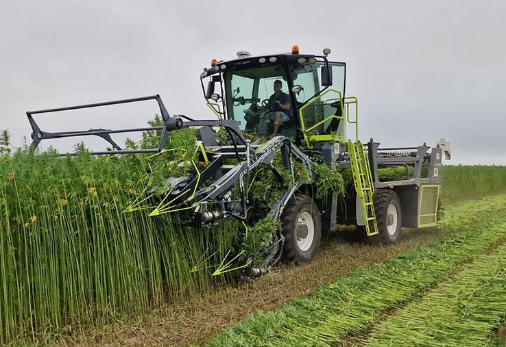L’un des nouveaux débouchés est le chanvre textile, rendu possible grâce à cette nouvelle faucheuse Hyler. 