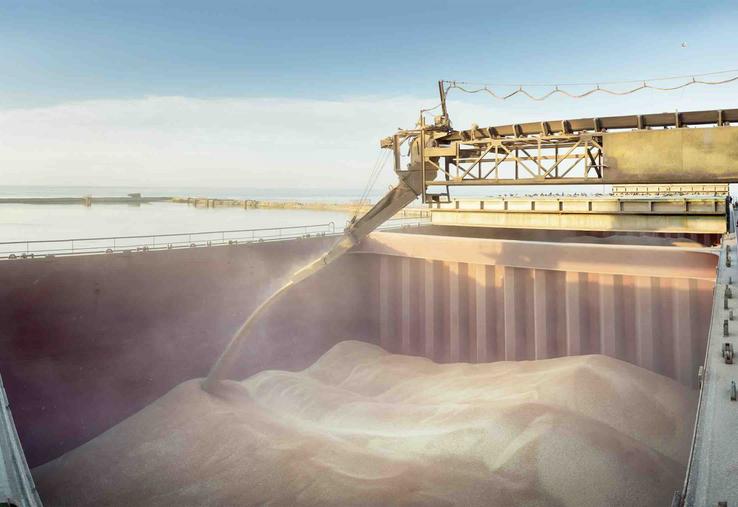 L’ensemble de la filière céréalière pâtit des 10 millions de tonnes (Mt) de blé et des 2 Mt d’orges en moins qui n’ont pas été récoltées l’été dernier. 