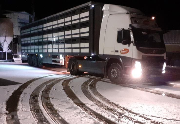 L’adoption de la proposition de règlement européen sur «la protection des animaux pendant le transport et autres opérations annexes» représenterait un surcoût très important pour les filières porcines française et européenne.