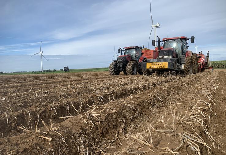 200 000 hectares pourraient être emblavés en 2030.