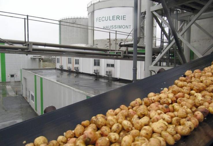 Haussimont fécule pommes de terre Tereos coopérative