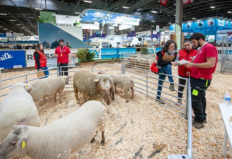 Pour être les meilleurs jeunes bergers des Hauts-de-France, les candidats devront réussir avec brio les épreuves théoriques  et pratiques, inspirées des gestes quotidiens de l’éleveur. 