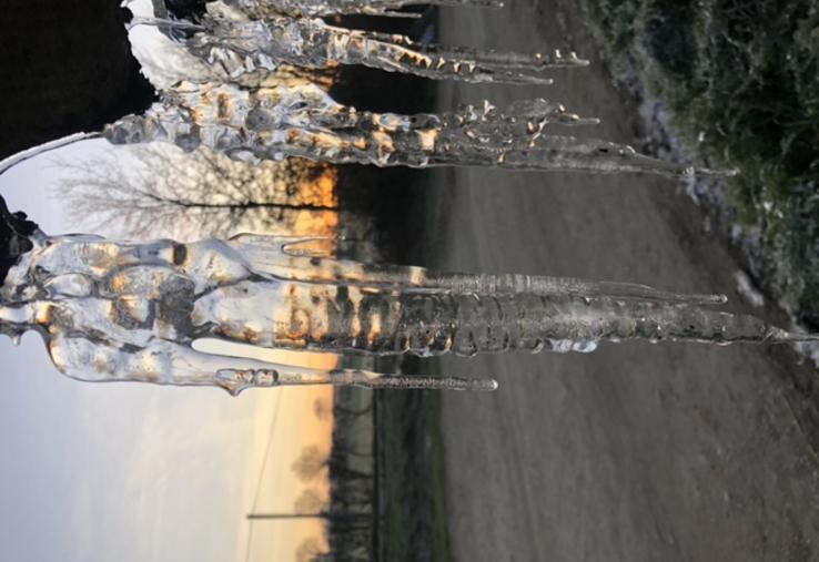 gouvernement budget agriculture