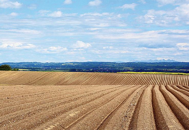 L’inscription des terres au bilan d’exploitation peut-être un atout fiscal,  à ne pas négliger.
