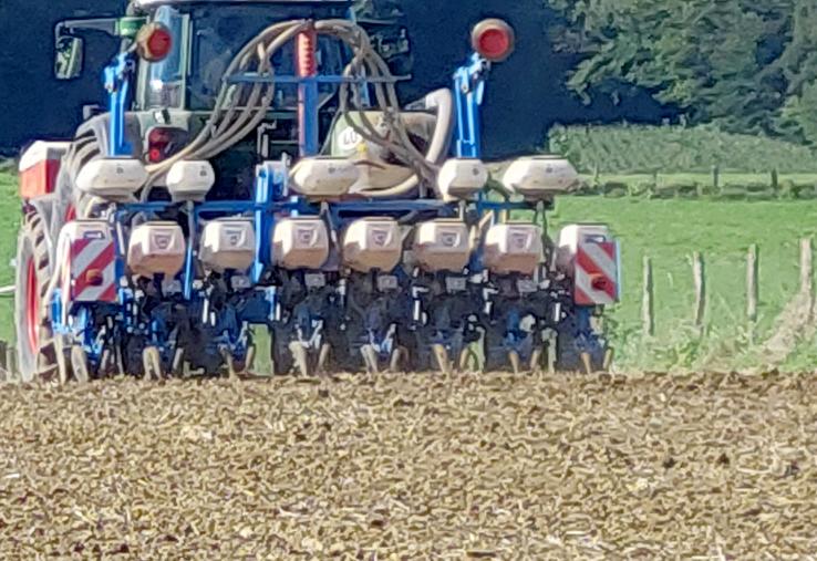 Semer trop tôt peut exposer les jeunes plantules à des stress climatiques et limiter le potentiel de rendement.