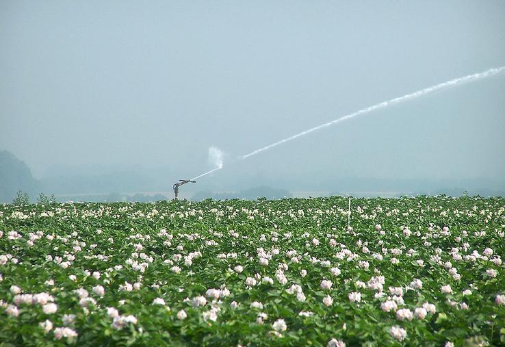 La Somme est le seul département des Hauts-de-France à opter pour le principe de gestion volumétrique de l'eau.