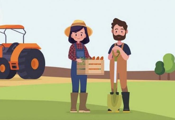 Quel que soit votre situation familiale, si vous vivez en couple et si vous travaillez sur l’exploitation ou l’entreprise agricole comme conjoint, vous devez déclarer a minima votre statut de conjoint collaborateur ou opter pour une formule d’associé  ou de salarié.