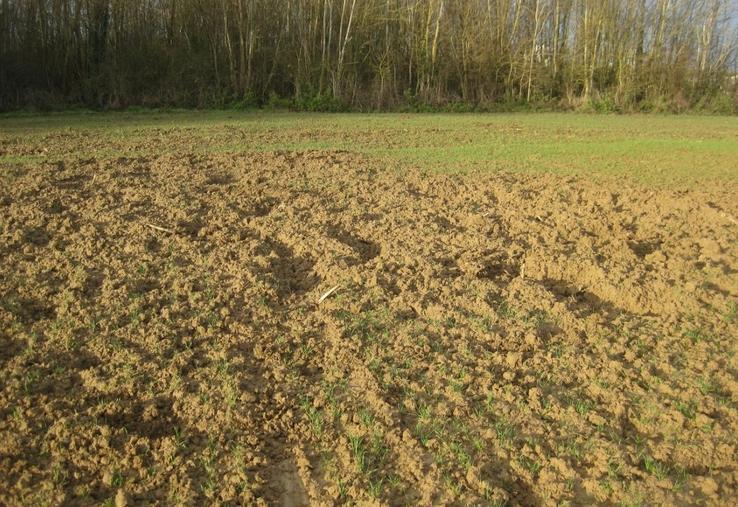 indemnisation dégâts de gibier chasse 