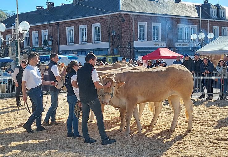 Lors du concours Blonde d'Aquitaine.