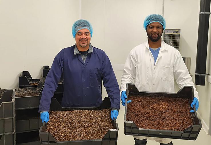 Issa Mourifie, entrepreneur, et Miguel Leis, chercheur en entomologie sont associés  dans la création d’Everfly avec la volonté de proposer une alternative durable  aux protéines conventionnelles, en utilisant le potentiel de bioconversion  de la mouche soldat noire. 