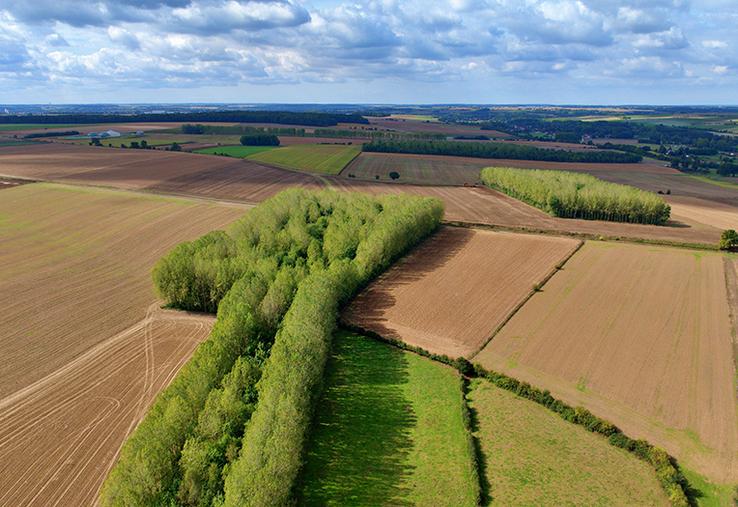 Avec une SAU couvrant 76 % du territoire, pour environ 4 500 exploitations,  la politique ne pouvait pas ignorer l’agriculture.
