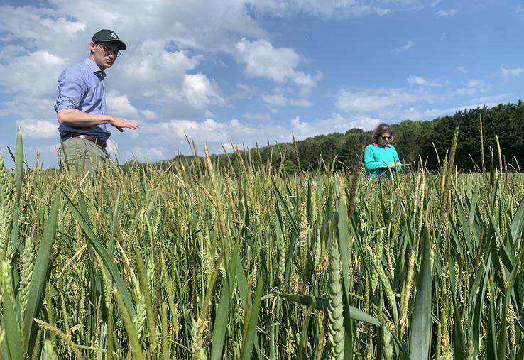Quentin Denorme et Audrey Remont présentent des leviers agronomiques pour la gestion des vulpins : reculer la date  de semis et limiter la perturbation du sol permettent de réduire l’infestation. 