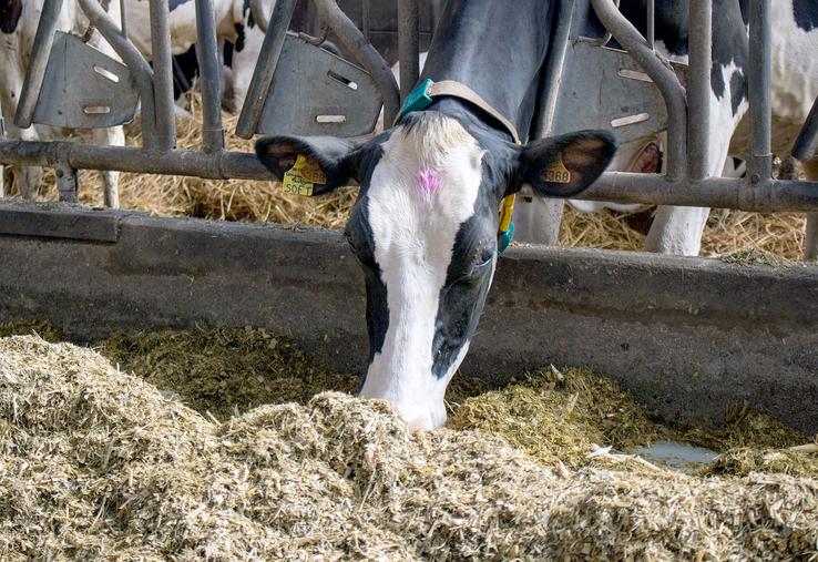 Le bien-être et le confort des animaux sont des points extrêmement importants. 