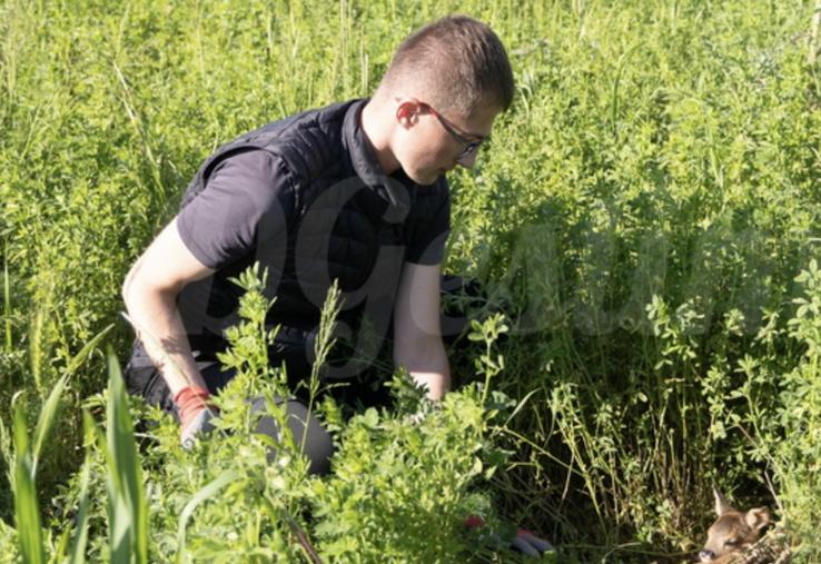 agression technicien FDC 60 faon