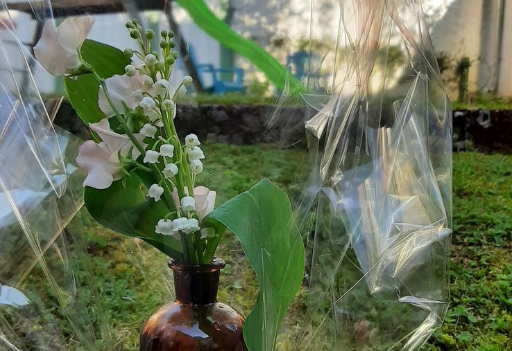 muguet tradition 1er mai histoire