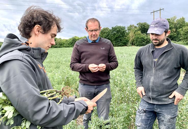 De gauche à droite, Nicolas Latraye (Terres Inivia) suit les essais menés chez Guillaume Bruniaux  et François Lavoisier. 