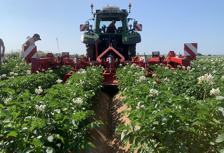 Le désherbage mécanique avec, par exemple, ce buttoir écologique de Grimme, qui combine buttage et binage, est une alternative au rattrapage chimique. 