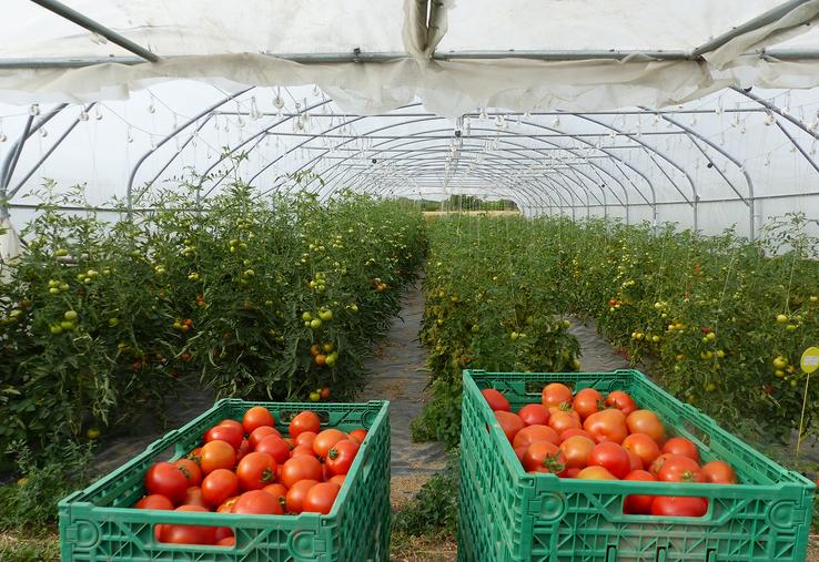 Si la tendance se confirme, il devrait y avoir une augmentation du chiffre d’affaires de 5 à 7 %.