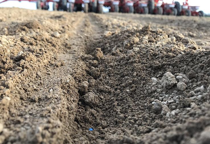 Quel que soit le semoir choisi, «le juge de paix est la régularité de levée  de la culture». Il faut donc connaître son sol, et régler son semoir en conséquence.  