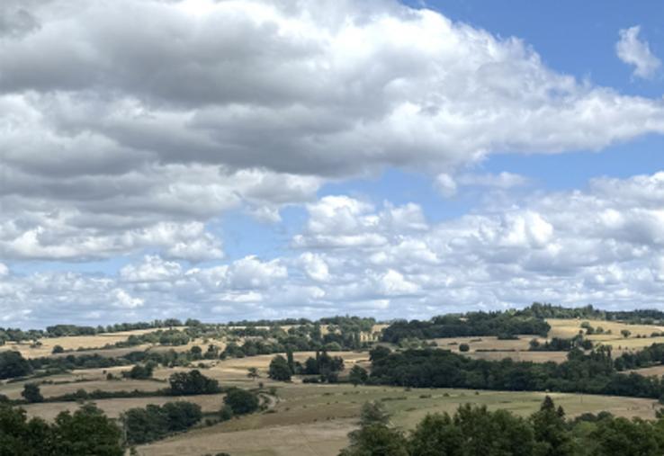 Seules les brebis maigres nécessitent un apport de concentré