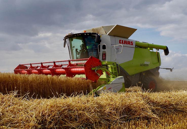 Les moissonneuses sortiront peut-être entre les gouttes, mais la qualité  des céréales devrait pouvoir rester correcte. 