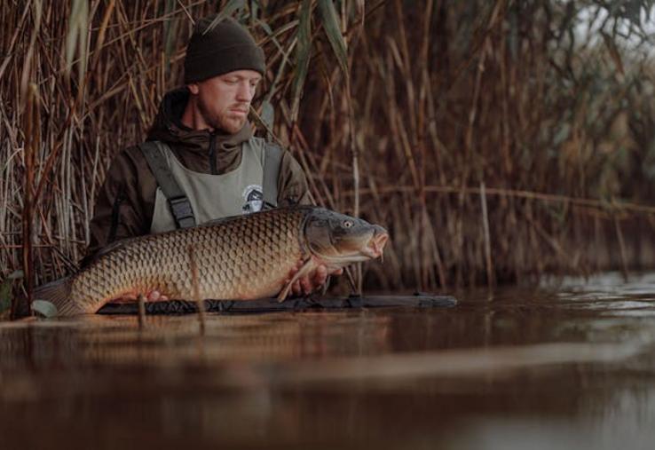 loi duplomb pétition 