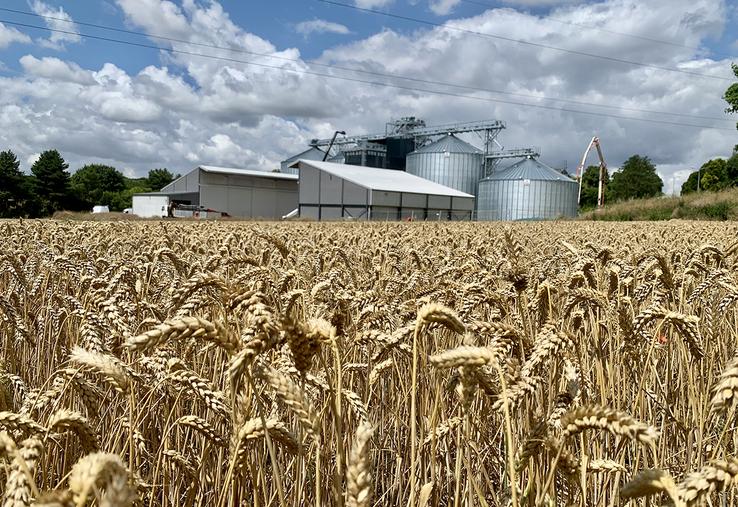 Pour la coopérative Sana Terra, le silo de Flesselles est le plus gros chantier  engagé depuis dix ans. 