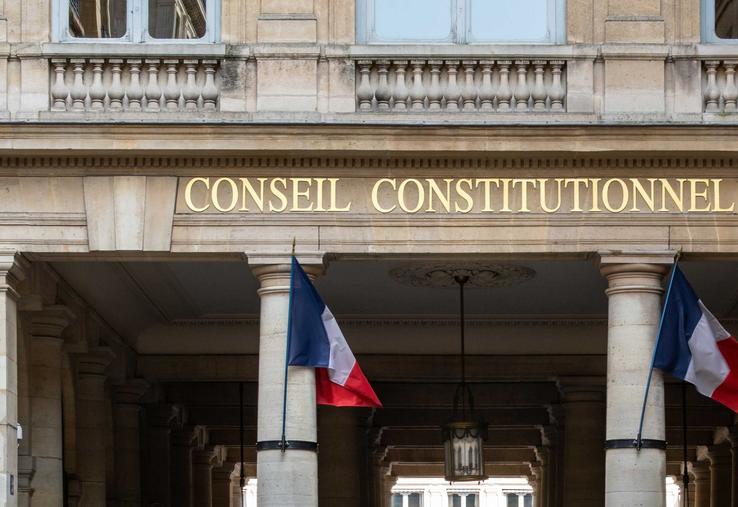 Conseil constitutionnel Entraves PPL Duplomb