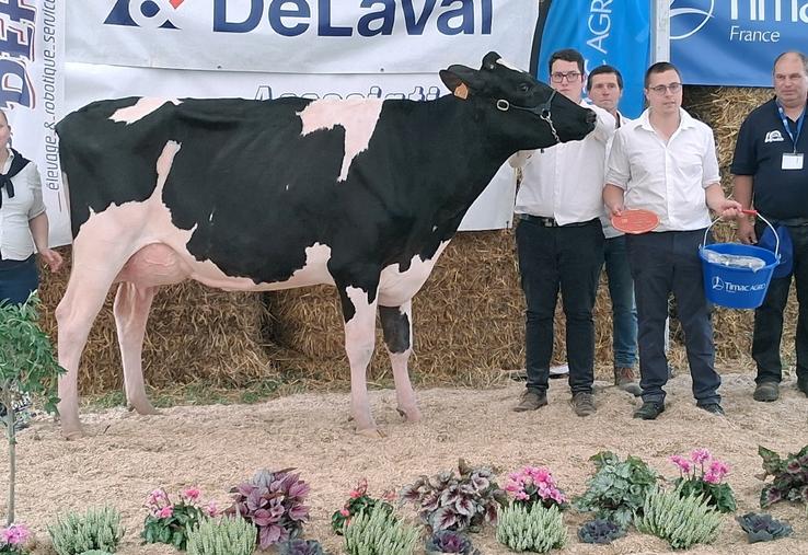 Vir’PHJ Tequiero (Hanans x Copycat), de la SCEA Popot, est la grande championne de Plaine en fête 2025. 