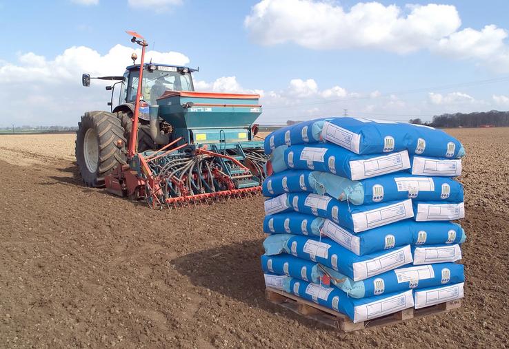 Le principal enjeu du lin d’hiver est la maîtrise de la croissance à l’automne,  car sa tolérance au gel est maximale entre 5 et 10 cm. 