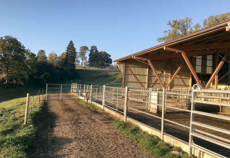 Le Pre'ad : une opportunité majeure dans la modernisation des bâtiments d’élevage.