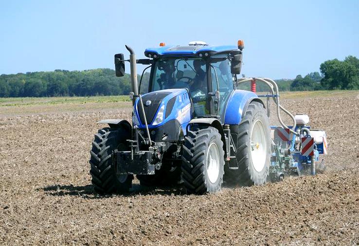 Le choix du semoir et le bon contact terre-graine sont essentiels pour favoriser un colza robuste et résistant aux ravageurs.