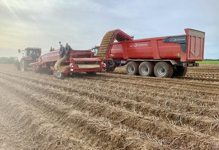 Avec les afflux de marchandise sur le marché et l’agréage des lots, les agriculteurs redoutent les refus de livraison.
