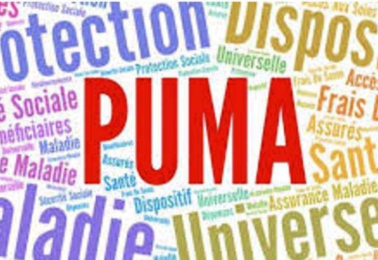 La Puma peut être synonyme de cotisations à l’Urssaf, en fonction des revenus professionnels et des revenus du patrimoine.