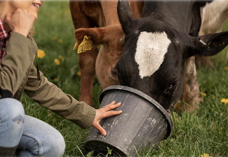 Un bilan fourrager doit être réalisé avant l’automne une fois l’ensemble des récoltes réalisées. 