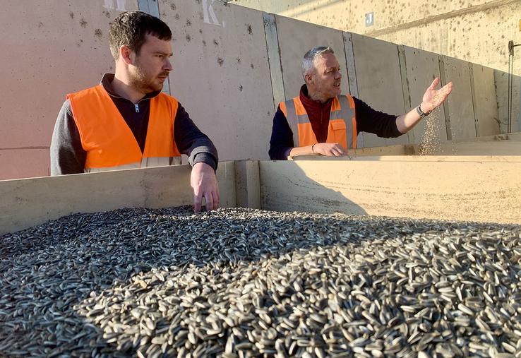 Tournesol strié, millet, sorgho, et avoine noire sont cultivés puis traités chez SFP pour la filière oisellerie. Ici, Gabriel Henry, responsable activité, et Adrien Houssays, technicien.
