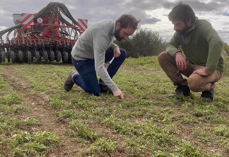 L’agronomie commence par l’observation de l’agriculteur. Lors des semis,  le bon positionnement de la graine est primordial. 