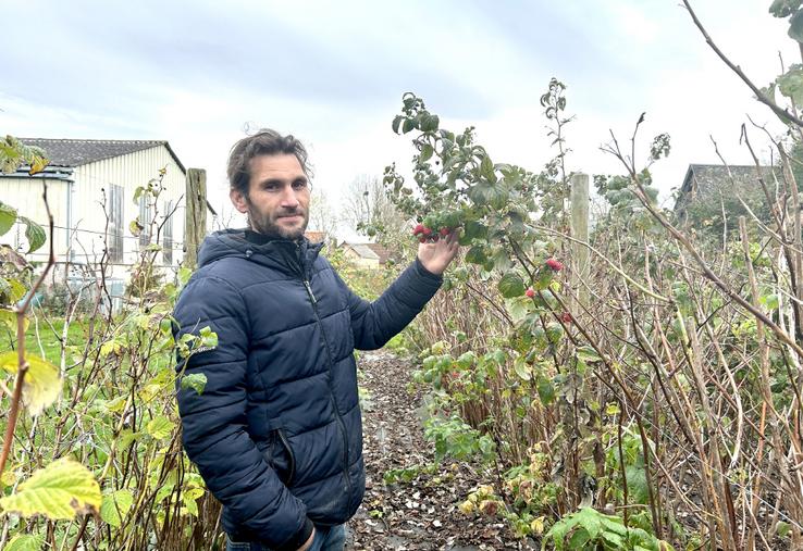 Depuis quatre ans, Xavier Sek produit des fruits rouges 100 % bio, dans une démarche “respectueuse de l’environnement”. 